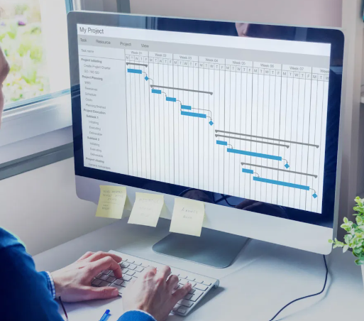 Software Project Management